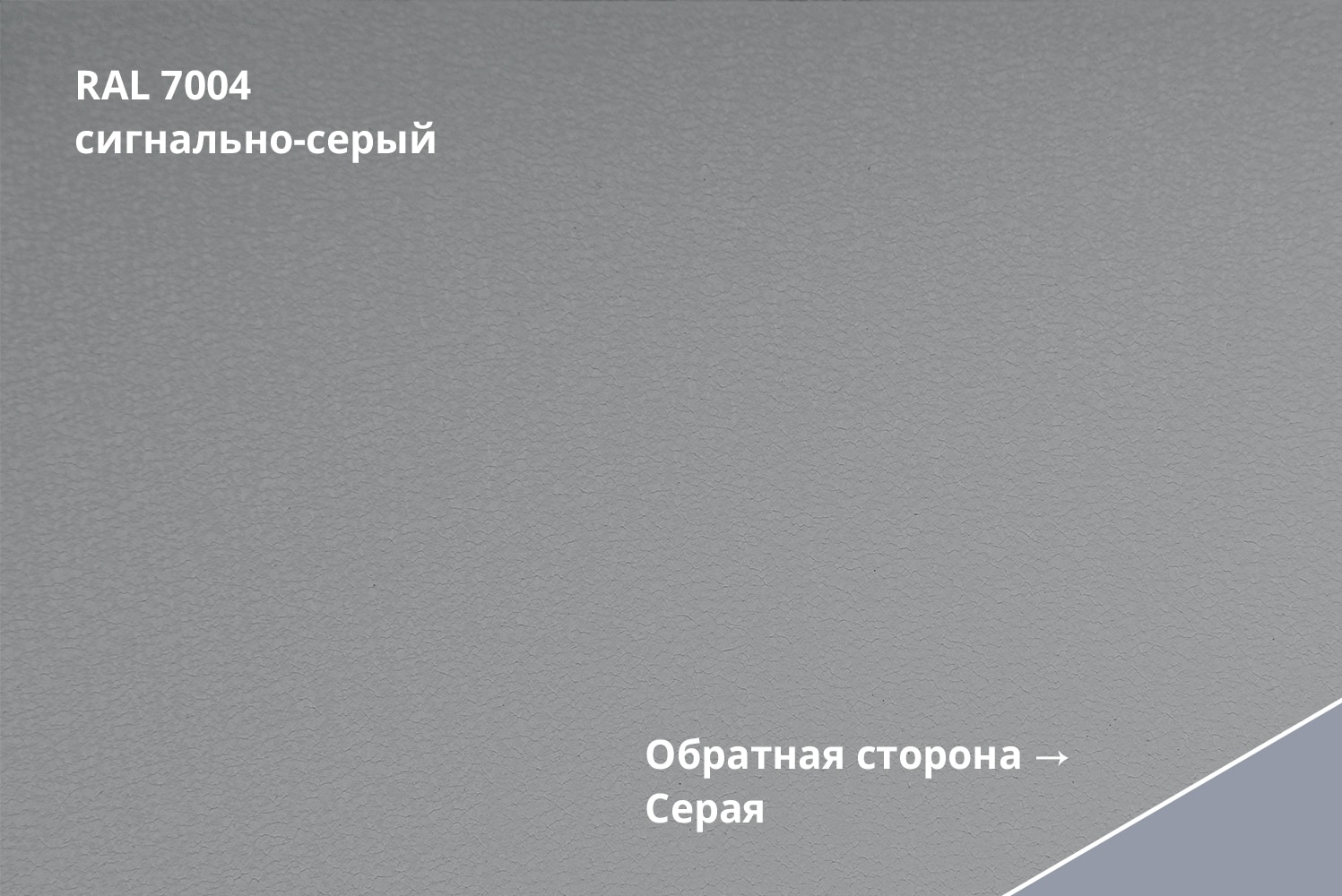 RAL 7004